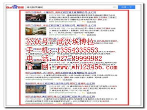 武汉网络技术推广 专业公司如何助力企业实现长效维护与增长